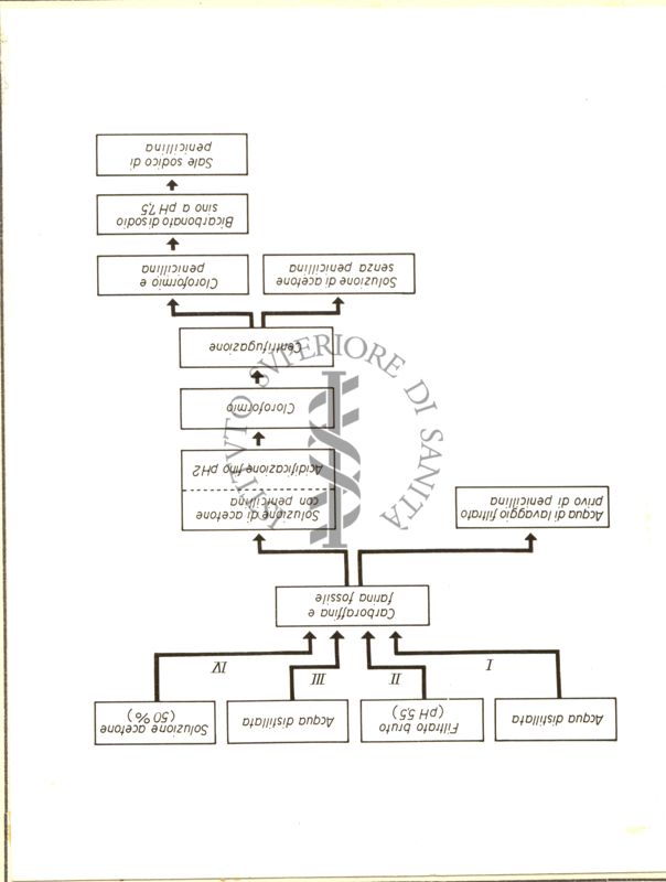 Metodo di estrazione della Penicillina (carbone attivo)