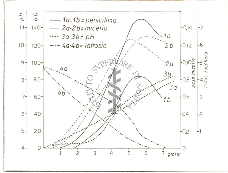 Differente comportamento dei terreni di coltura contenenti lattosio  o glucosio