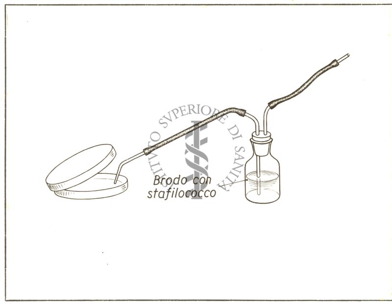 Apparecchio per versare sulla superficie di un agar - piastra una sospensione di germi e per raccogliere successivamente l'eccesso di liquido