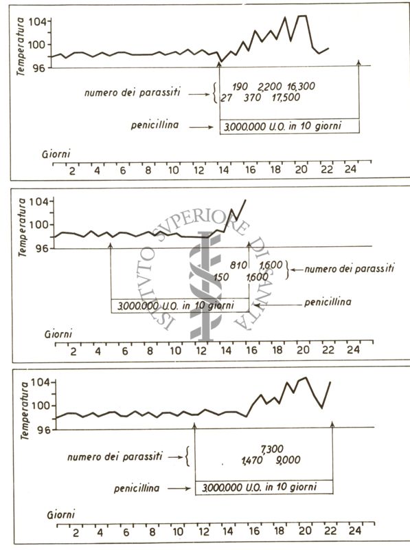 Diagramma riguardante la Penicillina e spirochete