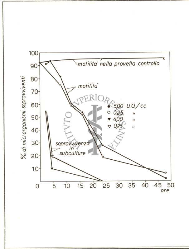 Diagramma riguardante la Penicillina e spirochete