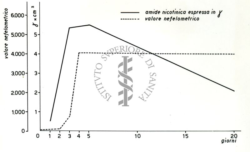 Grafico raffigurante la produzione di amide nicotinica da parte del mycobacterium phlei (Timodeo)