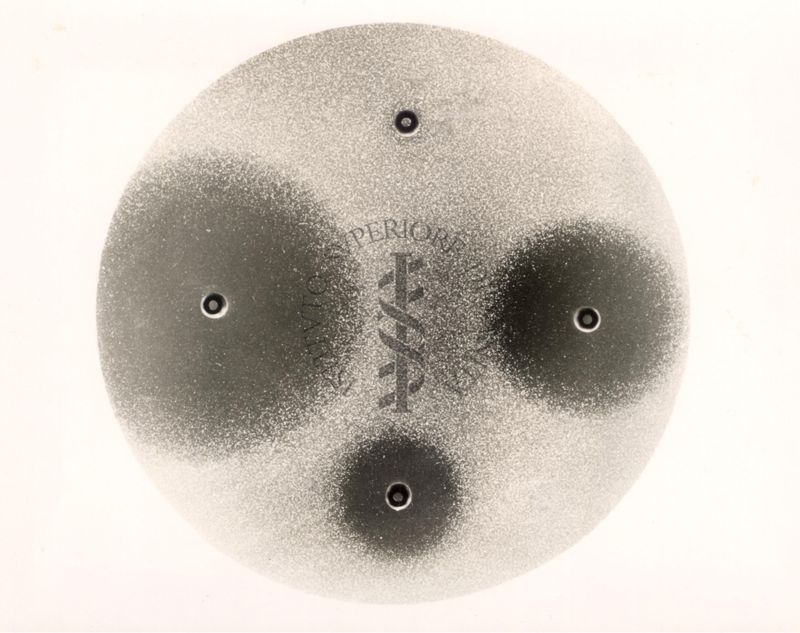 Azione dell'idrazide sul micobatterio in vitro