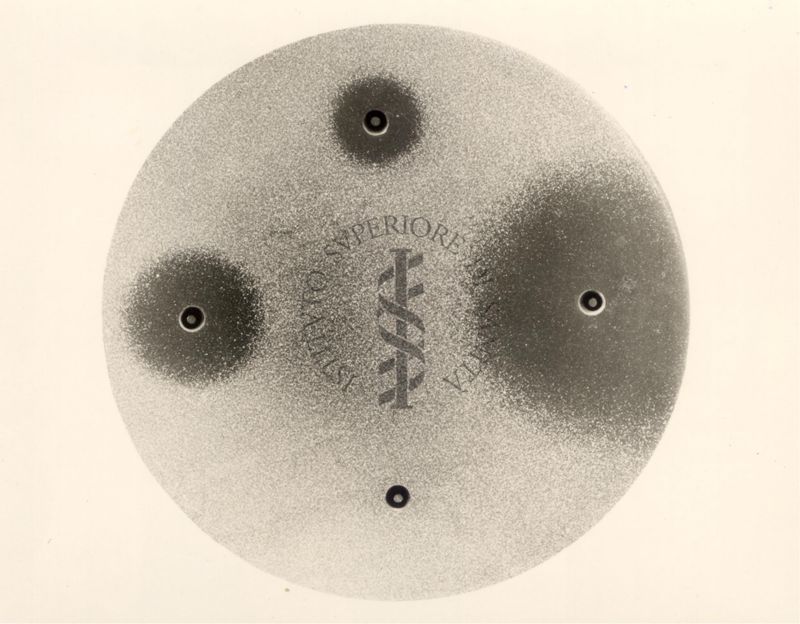 Azione dell'idrazide sul micobatterio in vitro