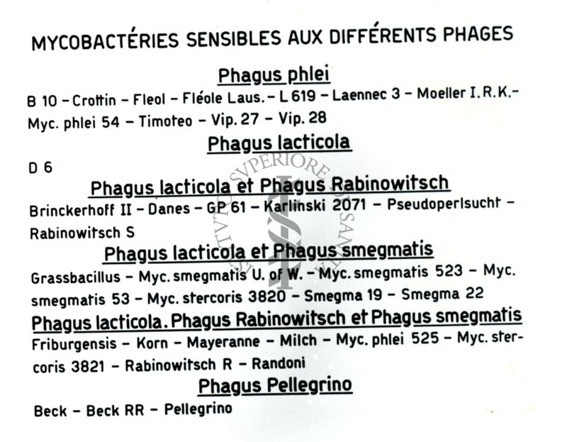 Tavola comparativa di micobatteri sensibili a differenti fagi