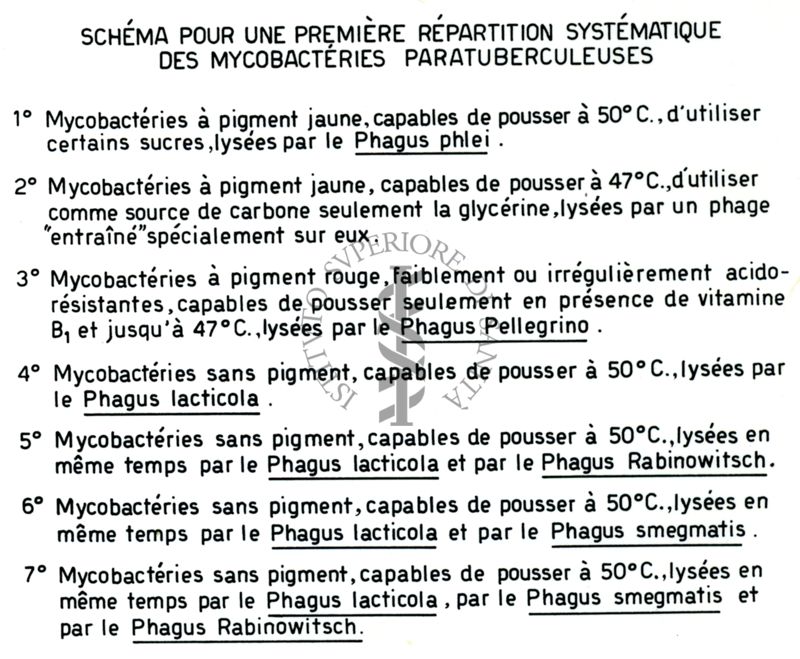 Tavola che illustra lo schema per una prima preparazione sistematica dei micobatteri paratubercolari