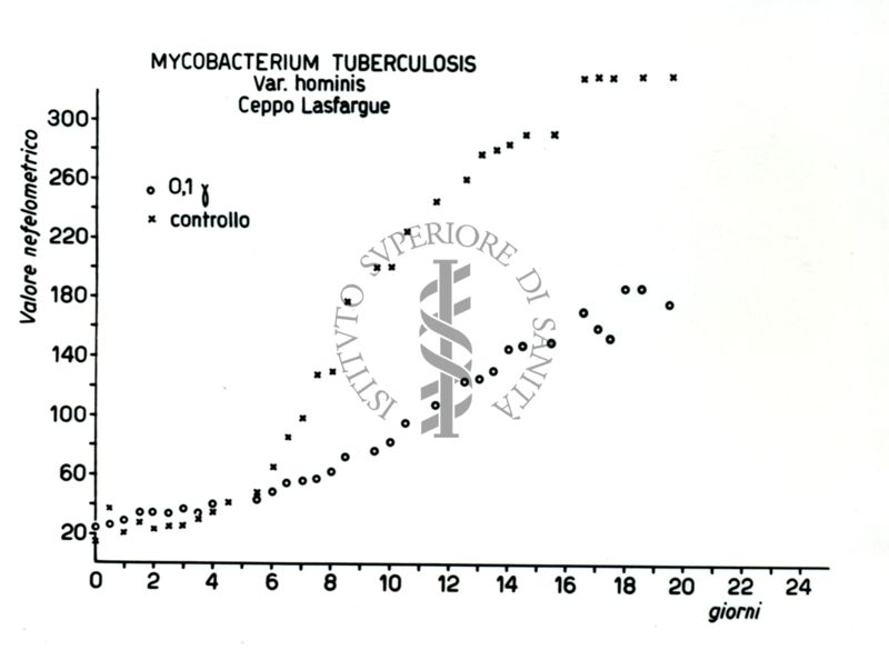 Tabella riguardante le curve di crescita del mycobacterum tuberculosis Ceppo Lasfargue