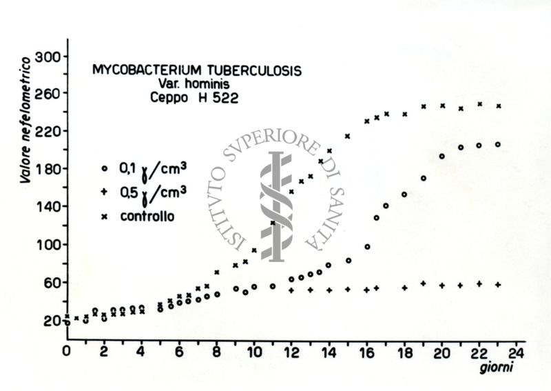 Tabella riguardante le curve di crescita del mycobacterum tuberculosis Ceppo H 522