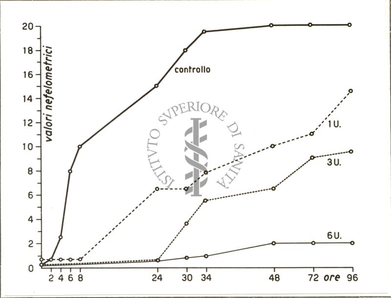 Curva di crescita di germi trattati con streptomicina