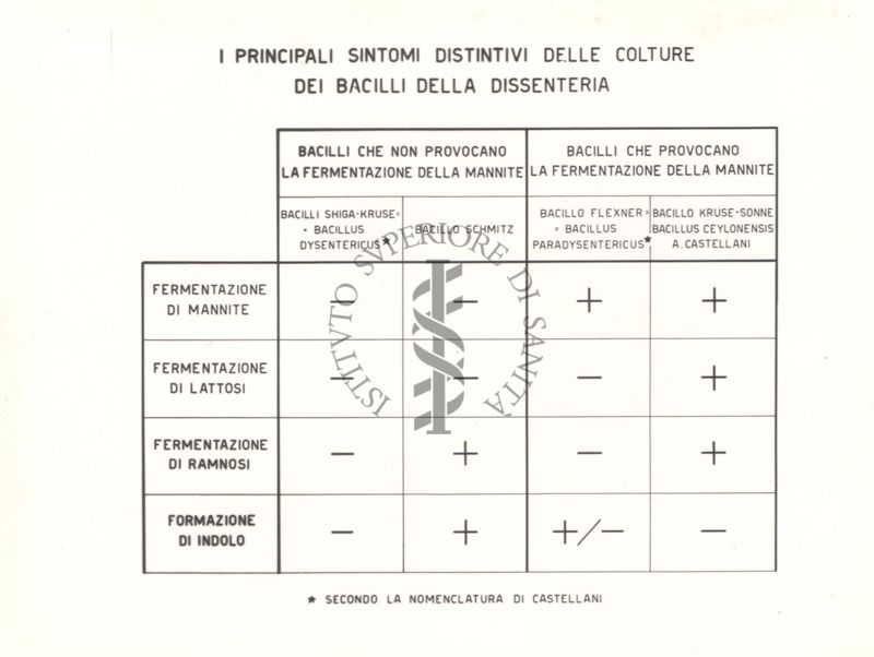 Grafico sui principali sintomi distintivi delle colture dei bacilli della dissenteria