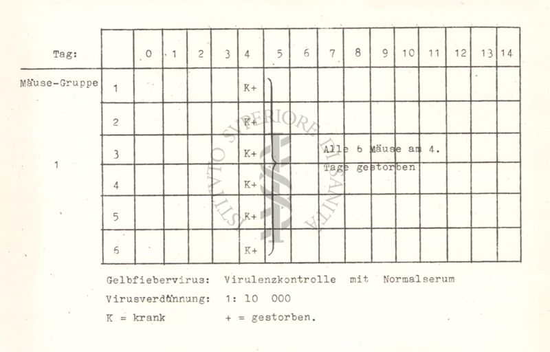 Tabelle riguardanti la mortalità nei topi per malattie da virus