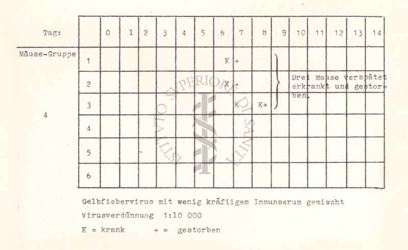 Tabelle riguardanti la mortalità nei topi per malattie da virus