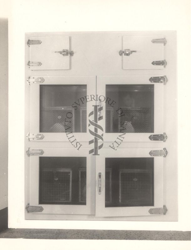 Detmotifo: immagine di armadio refrigerante per conigli chiuso