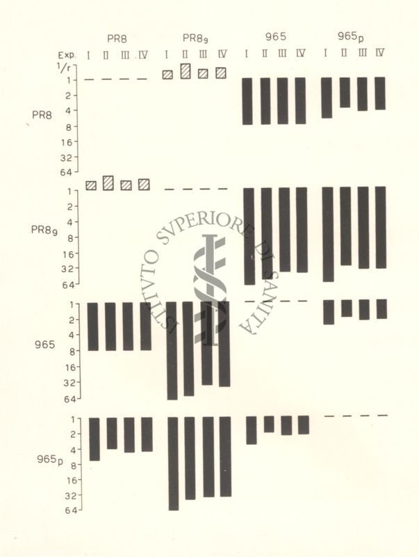 Grafico riguardante le relazioni antigeniche fra ceppi di virus influenzali