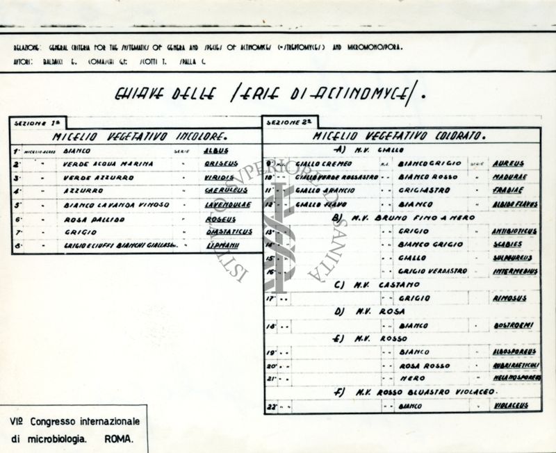 Chiave delle serie di Actinomyces