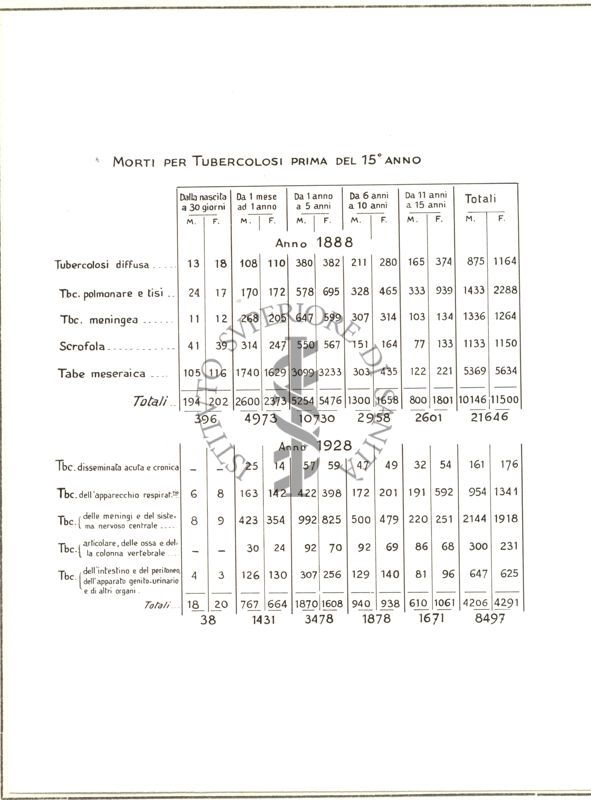 Diagramma riguardante i morti per tubercolosi prima del 15° anno
