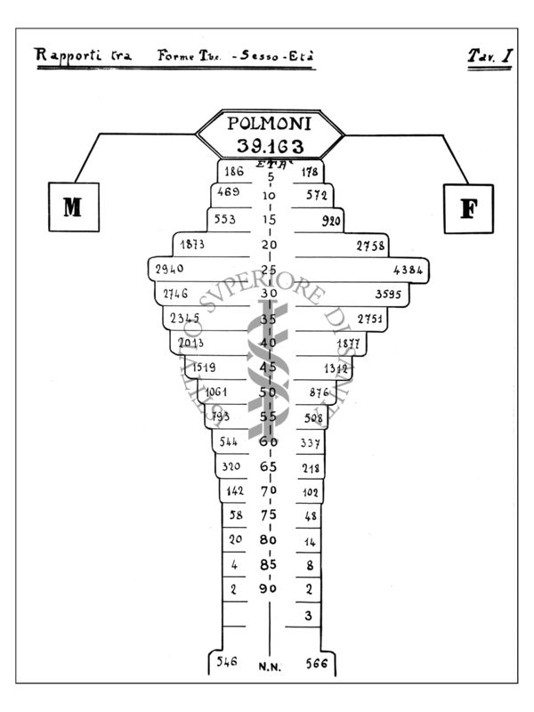 Diagramma riguardante i rapporti tra le forme tubercolari i sessi e l'età