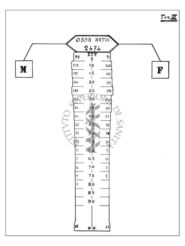 Diagramma riguardante i rapporti tra le forme tubercolari i sessi e l'età