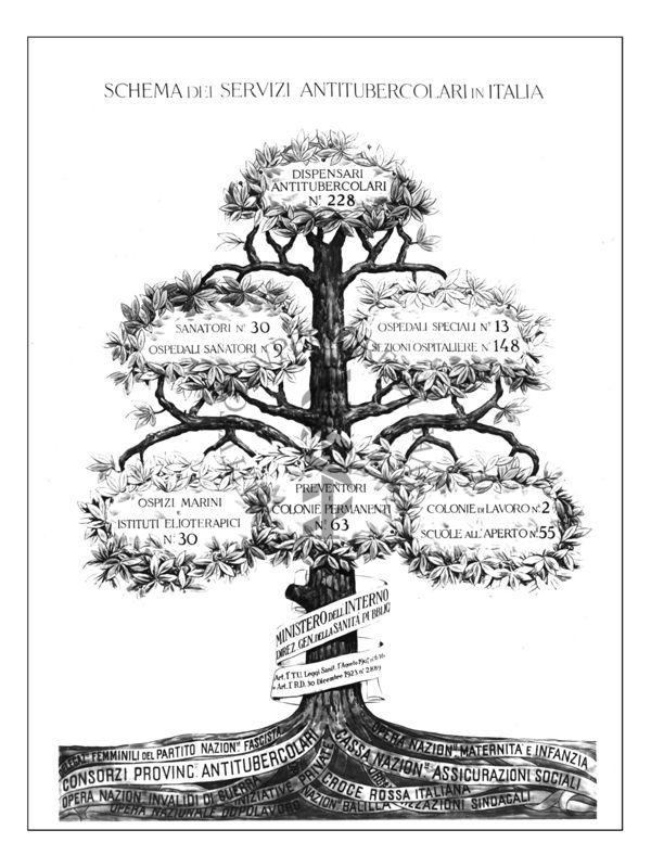 Diagramma riguardante lo schema dei servizi antitubercolari in Italia