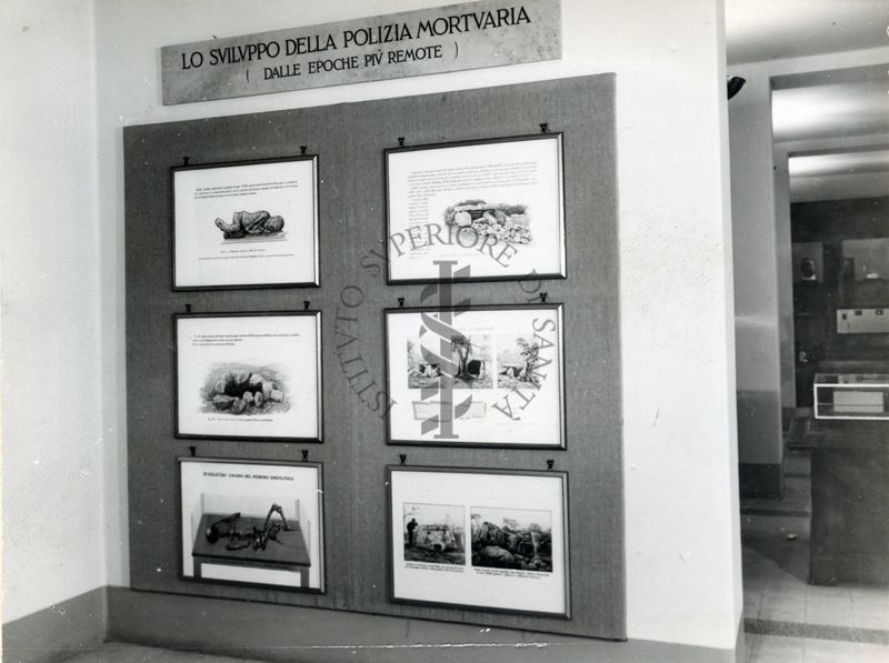 Immagine di una parete del museo dell'Istituto di Sanità Pubblica