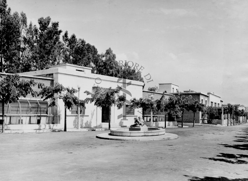 Immagine del viale con alcuni stabulari