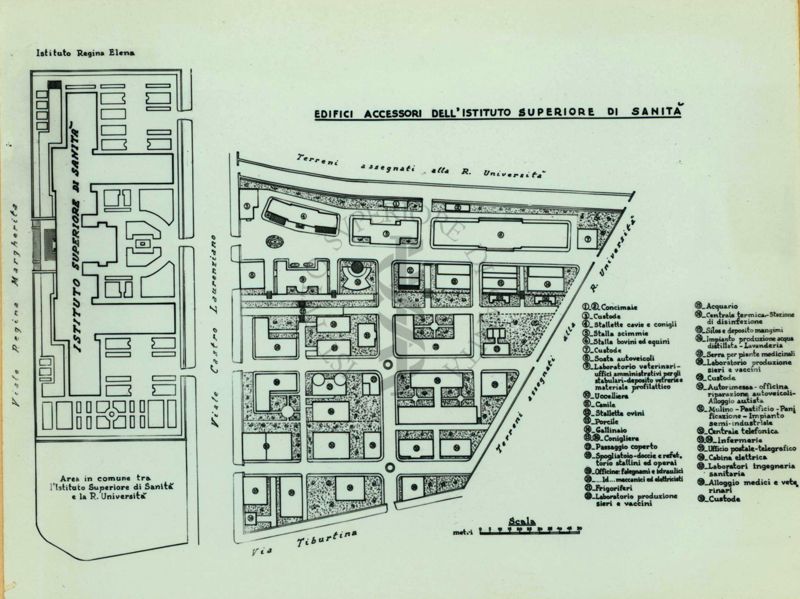 Planimetria generale dell'Istituto Superiore di Sanità, con gli Edifici Accessori