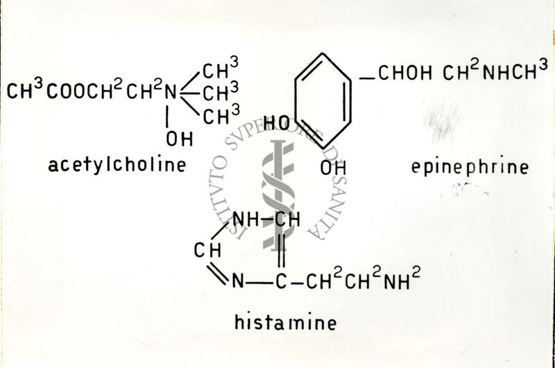 Tabella sui Rapporti tra l'attività farmacologica e la struttura chimica delle sostanze antistaminiche.
Rappresentate le formule chimiche dell'acetylcholine, dell'epinephrine e dell'histamine