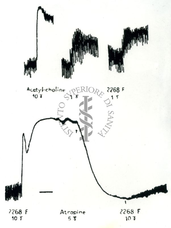 Grafici degli effetti dei derivati sintetici dell'acetilcolina sull'intestino isolato del coniglio