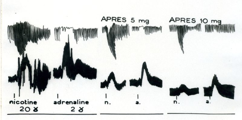 Tracciati grafici degli effetti sulla pressione del cane dei derivati anti nicotinici "Di Parcol". Antagonismo con la nicotina