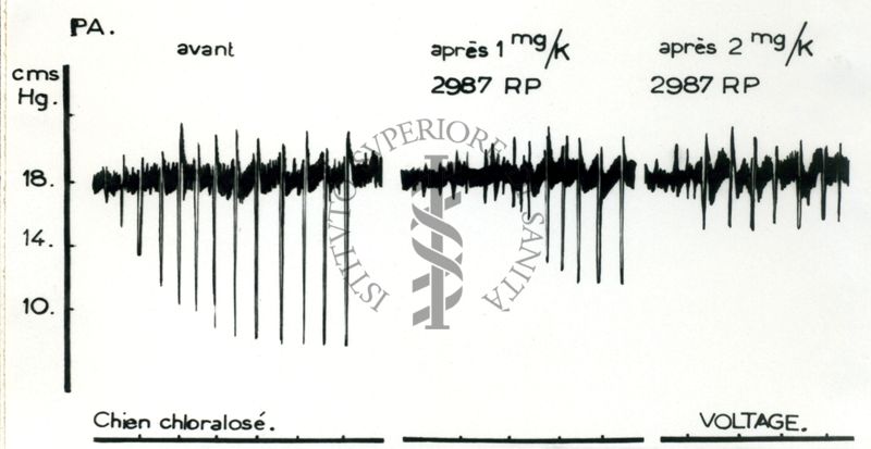 Tracciati grafici degli effetti sulla pressione del cane dei derivati anti nicotinici "Di Parcol". Paralisi del nervo vago