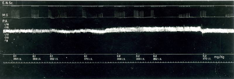 Tracciato riguardante l'azione curarica degli esteri di trialchiletanolammonio dell'acido succinico