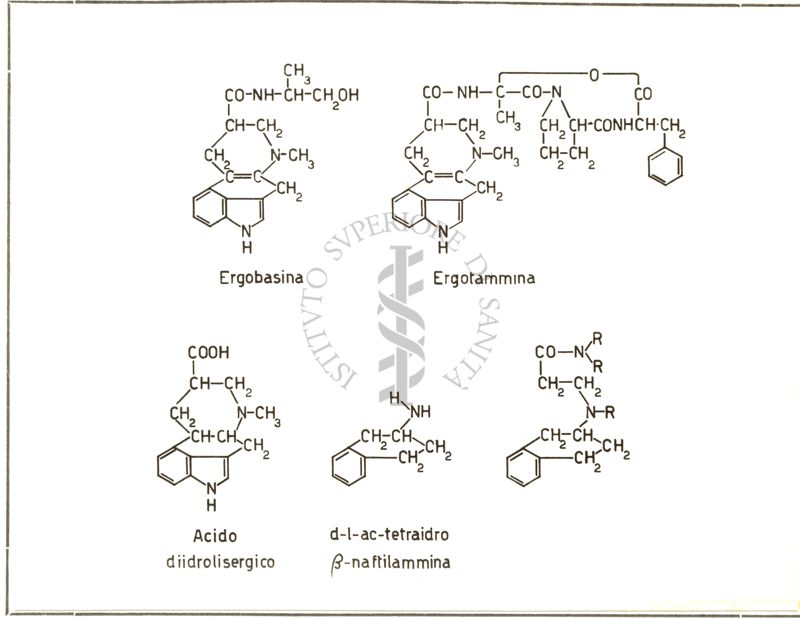 Derivati sintetici degli Alcaloidi dell'Ergot: rapporti di struttura con la tetraidro naftilammina
