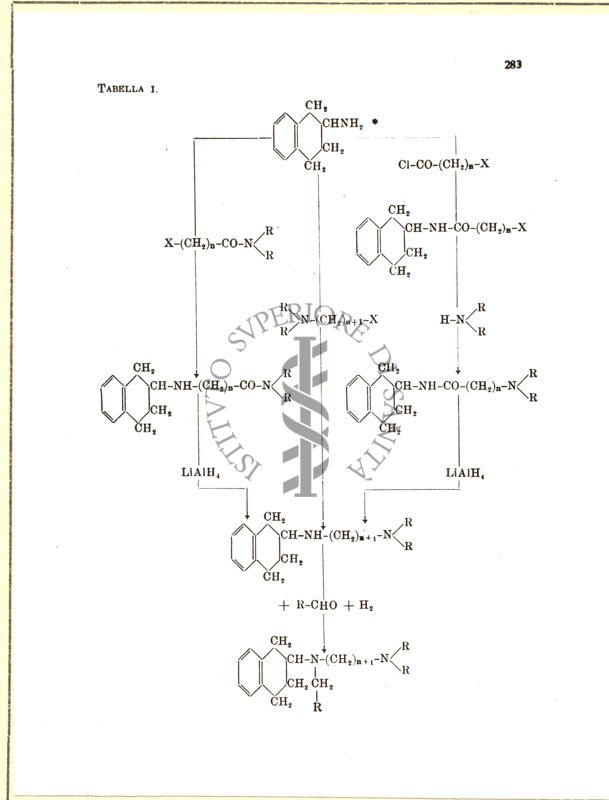 Derivati sintetici degli Alcaloidi dell'Ergot: sintesi dei derivati della tetraidro-naftilammina