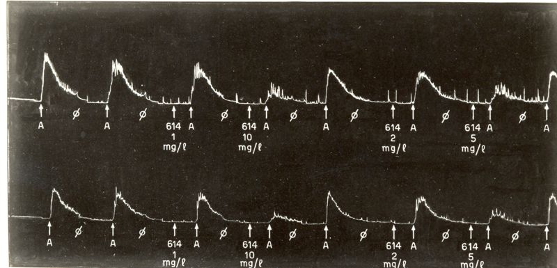 Derivati sintetici degli Alcaloidi dell'Ergot: azione farmacologica del 614 I.S. (vescicola seminale della cavia)