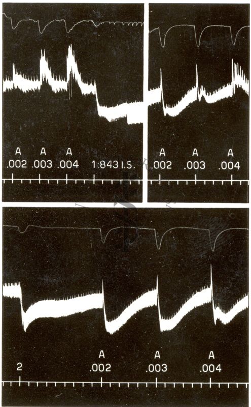 Derivati Simpatolitici della B - Tetraidronaftilammina - N - N - dimetil Tetraidronaftilammina