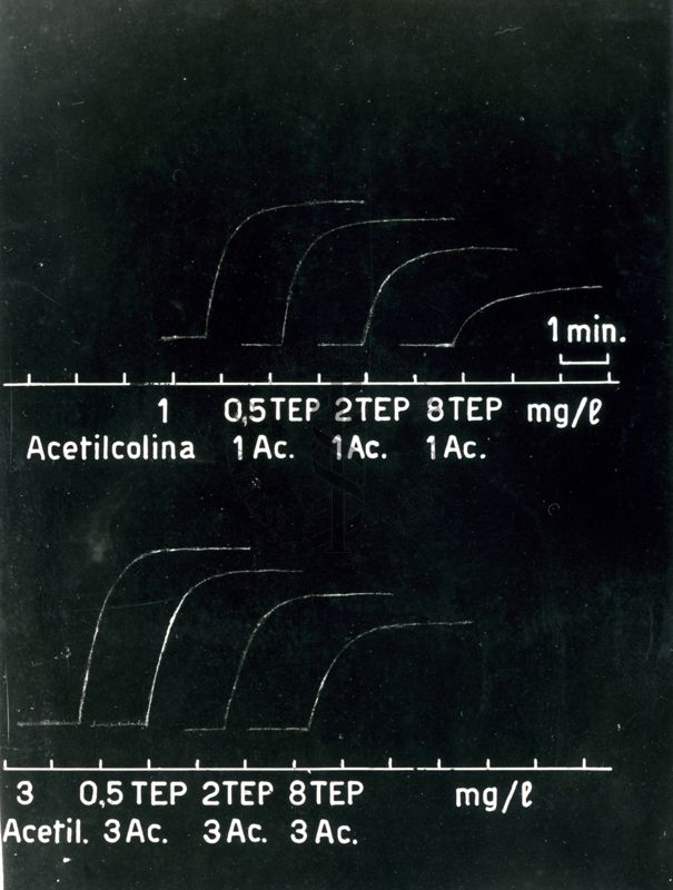 Tracciato delle Relazioni quantitative nell'antagonismo tra acetilcolina ed un curaro di sintesi (2559 F.)