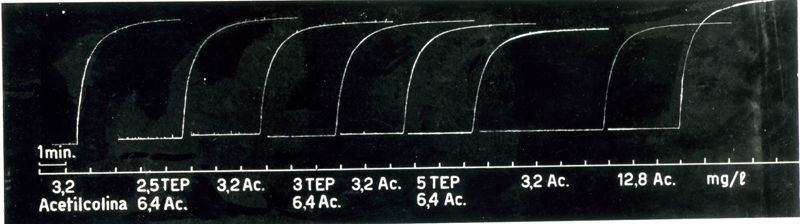 Tracciato delle Relazioni quantitative nell'antagonismo tra acetilcolina ed un curaro di sintesi (2559 F.)