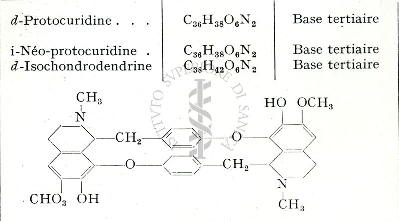 Formule chimiche degli Alcaloidi dei Menispermacea. A: Tipo isochondrodendrine.