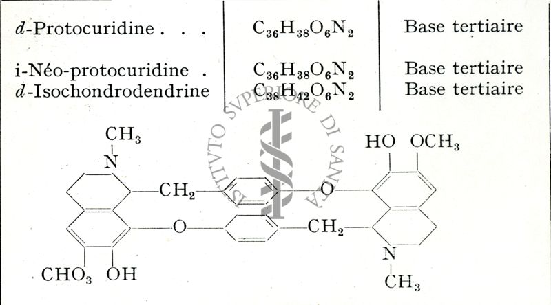 Formule chimiche degli Alcaloidi dei Menispermacea. A: Tipo isochondrodendrine.