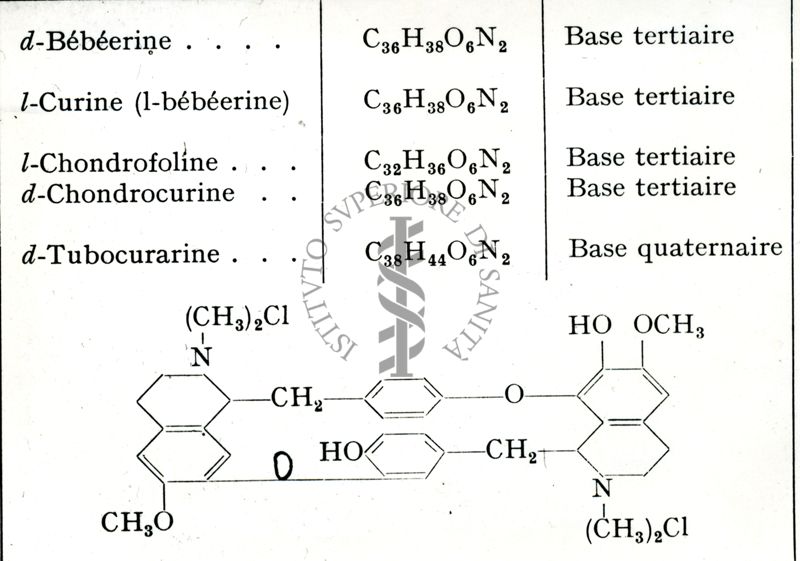 Formule chimiche degli Alcaloidi dei Menispermacea. B: Tipo Bebeerina