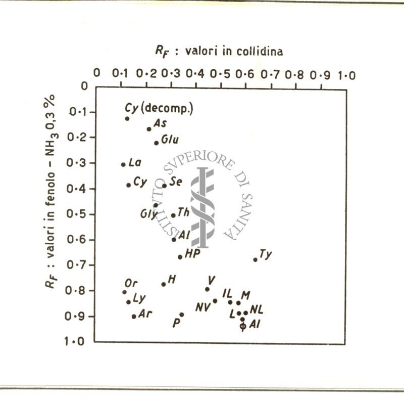 Diverse fasi di rappresentazione della cromatografia