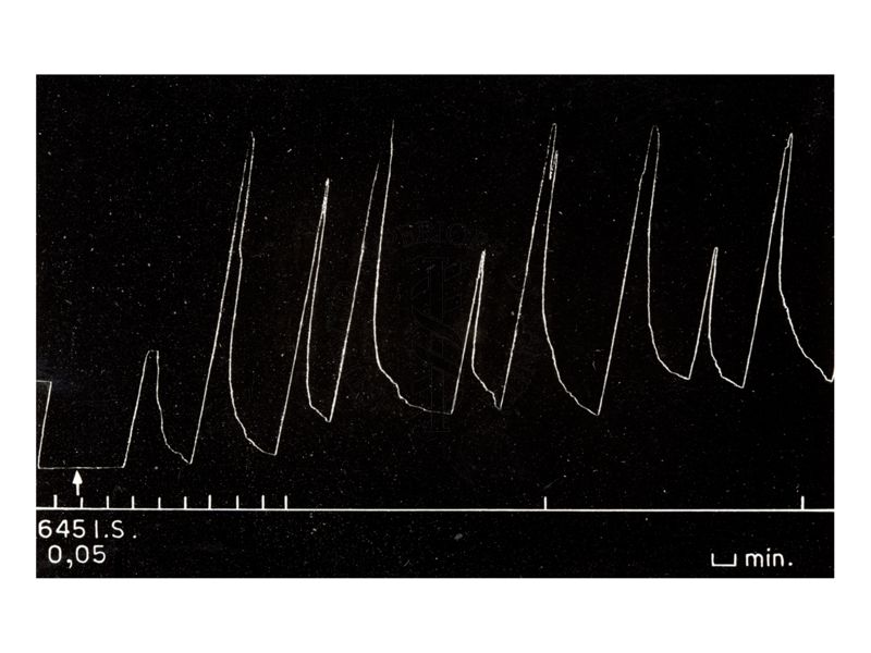 Immagine dell'azione oxitocica su uteri isolati di coniglio e di cavia di alcuni ergotamminici di sintesi