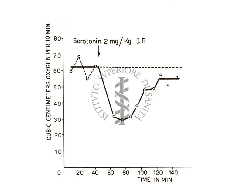 Metabolismo serotonina