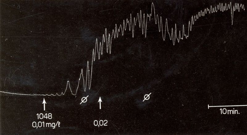 Ossitocici di sintesi - utero isolato di coniglio