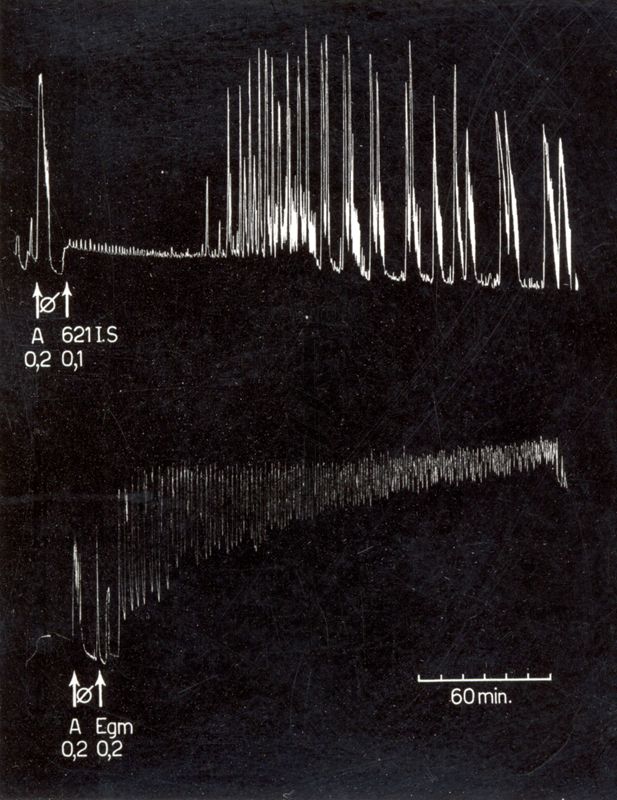 Ossitocici di sintesi - utero isolato di coniglio