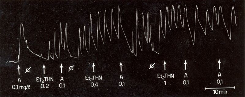 Ossitocici di sintesi - utero isolato di coniglio