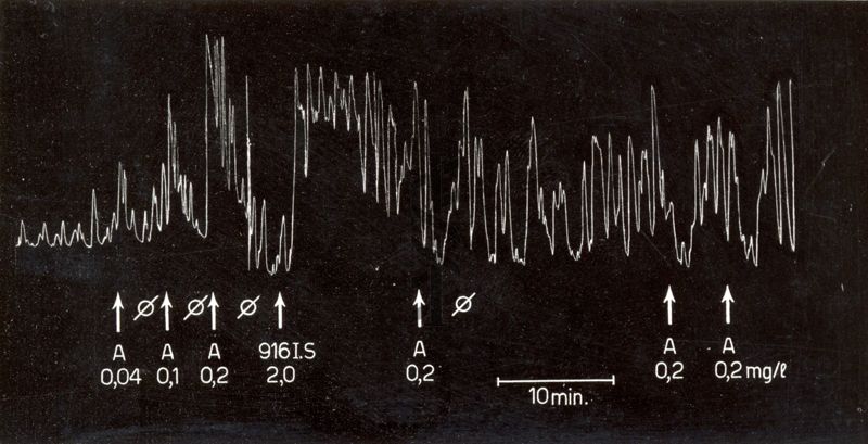 Ossitocici  di sintesi - utero isolato di coniglio