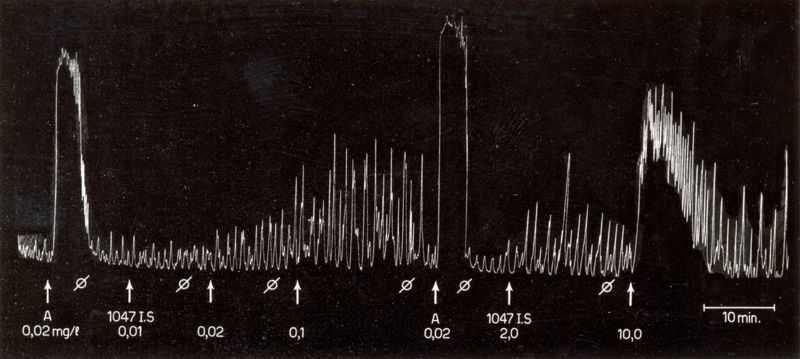 Ossitocici di sintesi - utero isolato di coniglio