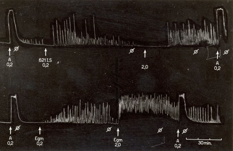 Ossitocici di sintesi - utero isolato di coniglio (con e senza trattamento con estradiol)