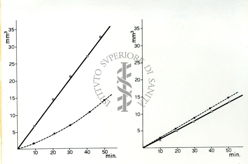 Azione della succinilcolina prolungata dall'anticolinesterasico (683 Nu) ed inibizione delle colinesterasi nel cane da parte dello stesso prodotto.